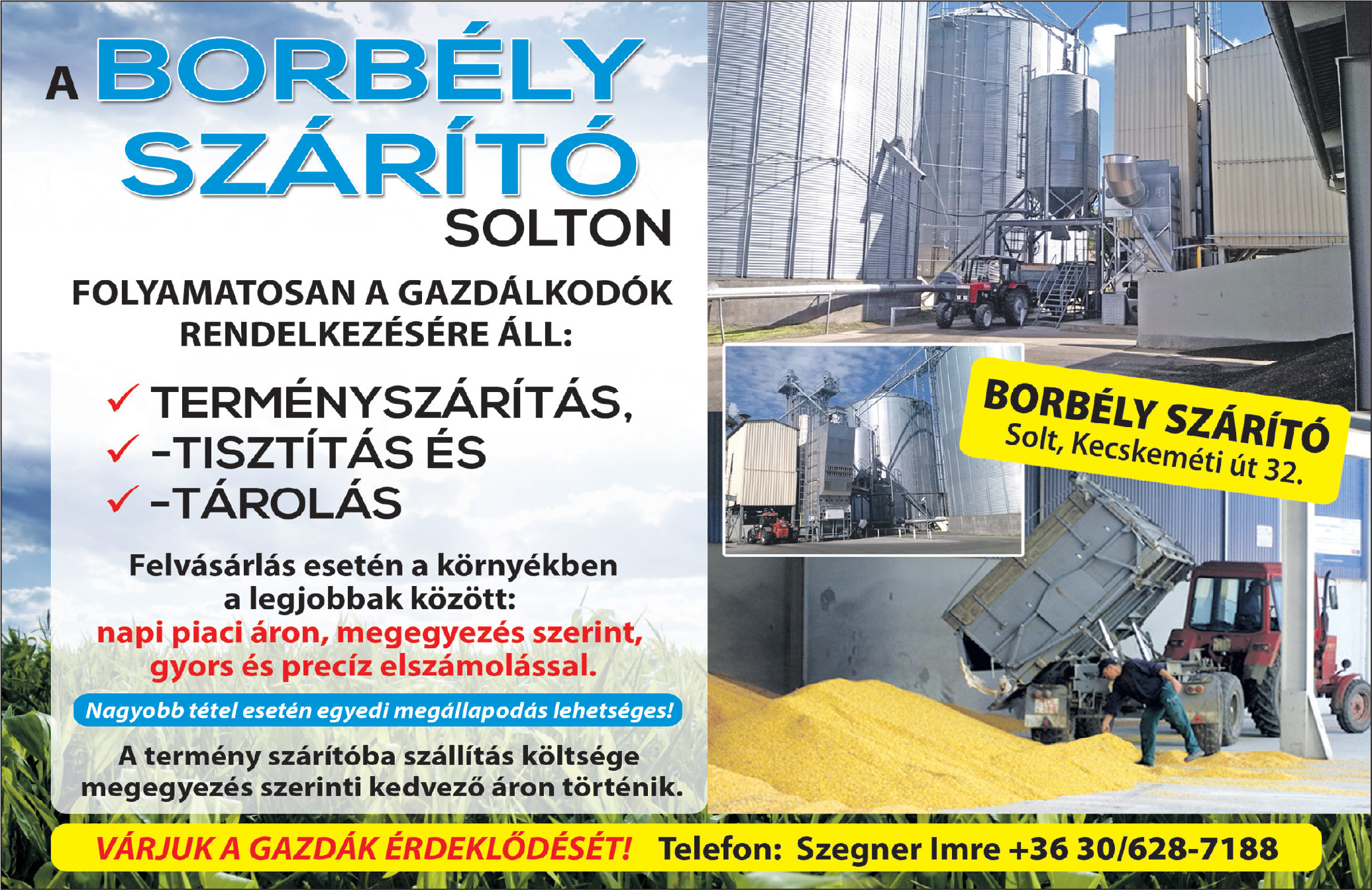 Borbély szárító