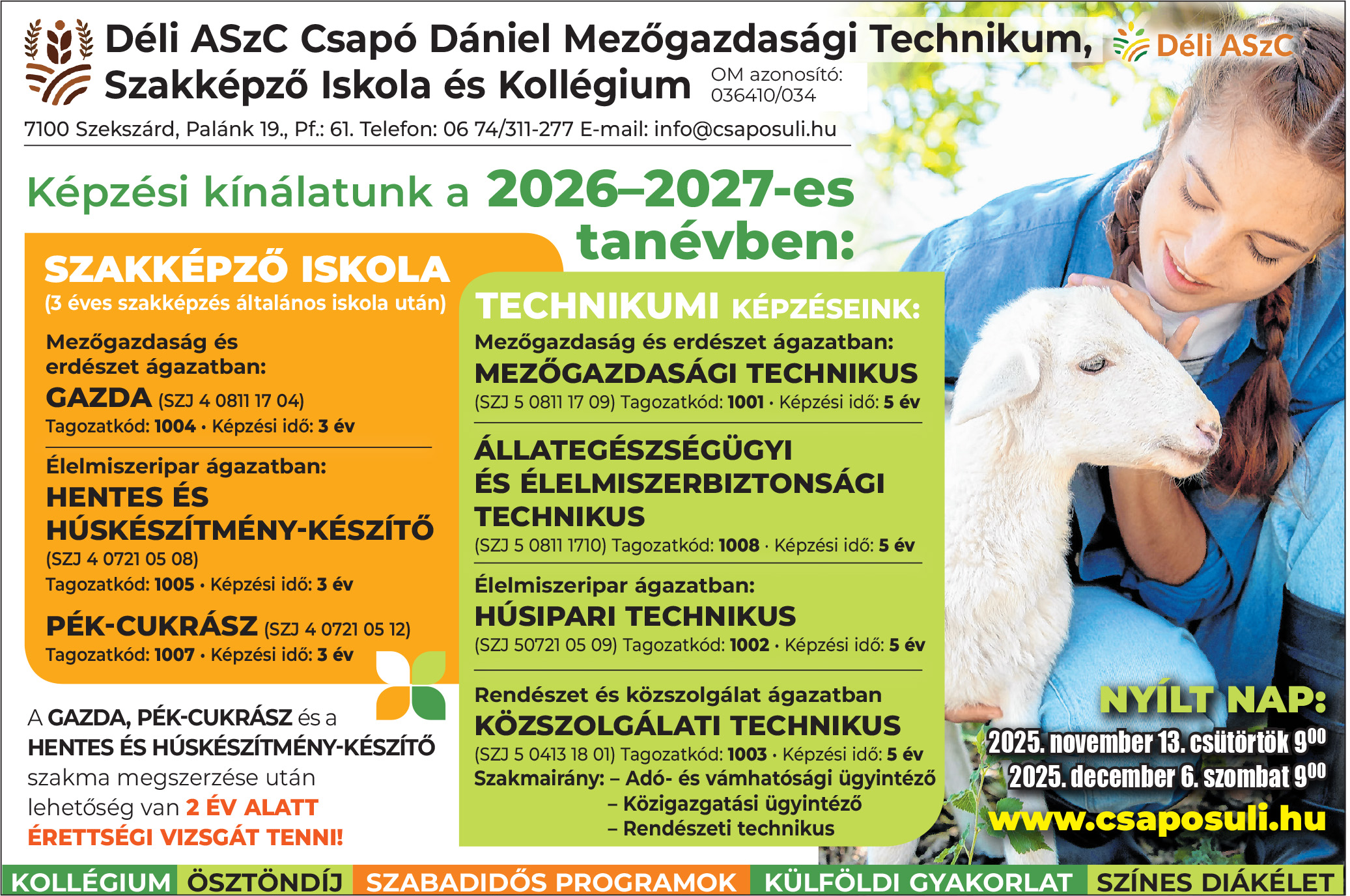 Csapó Dániel DASzK