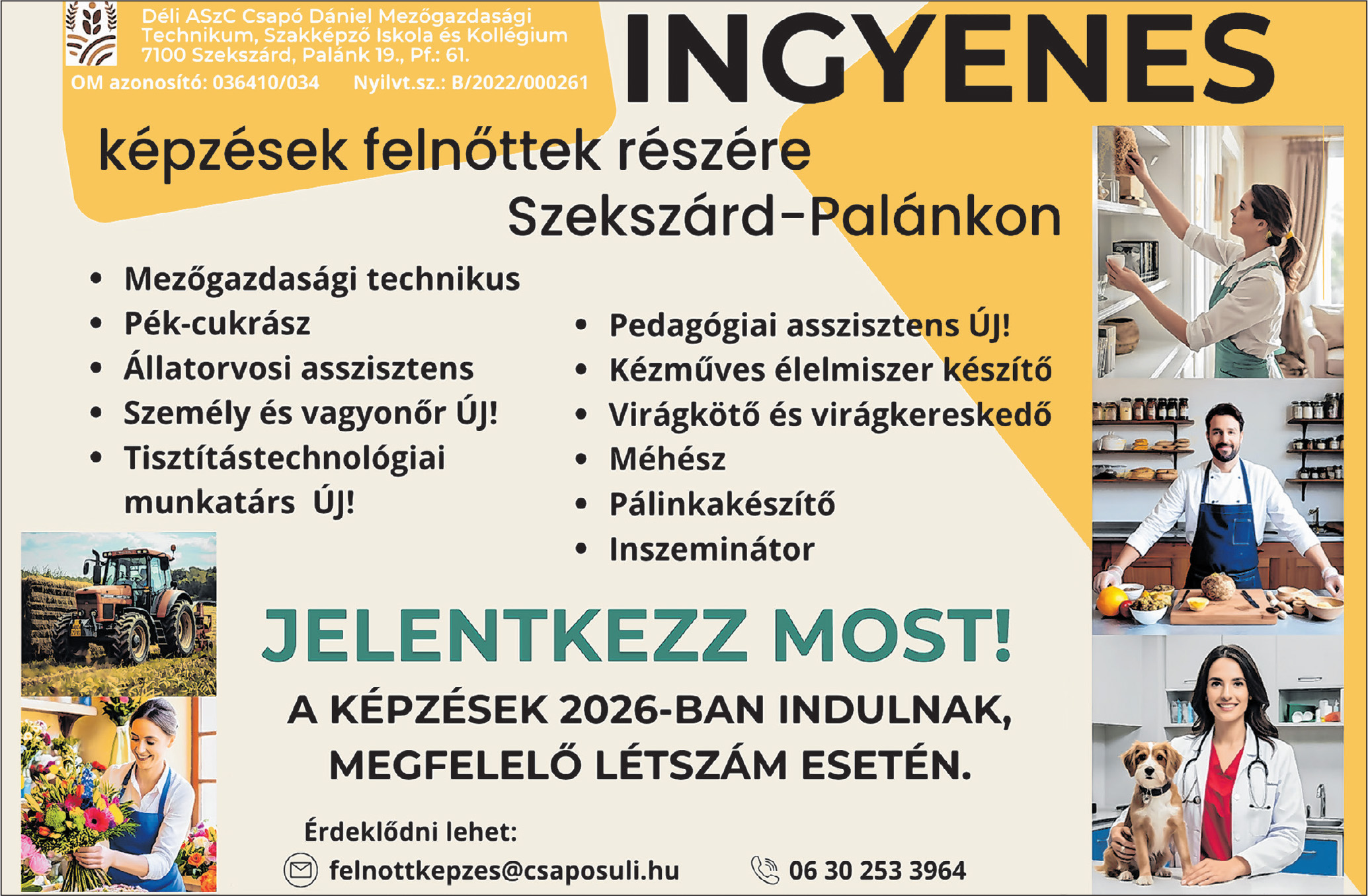 Csapó Dániel DASzK