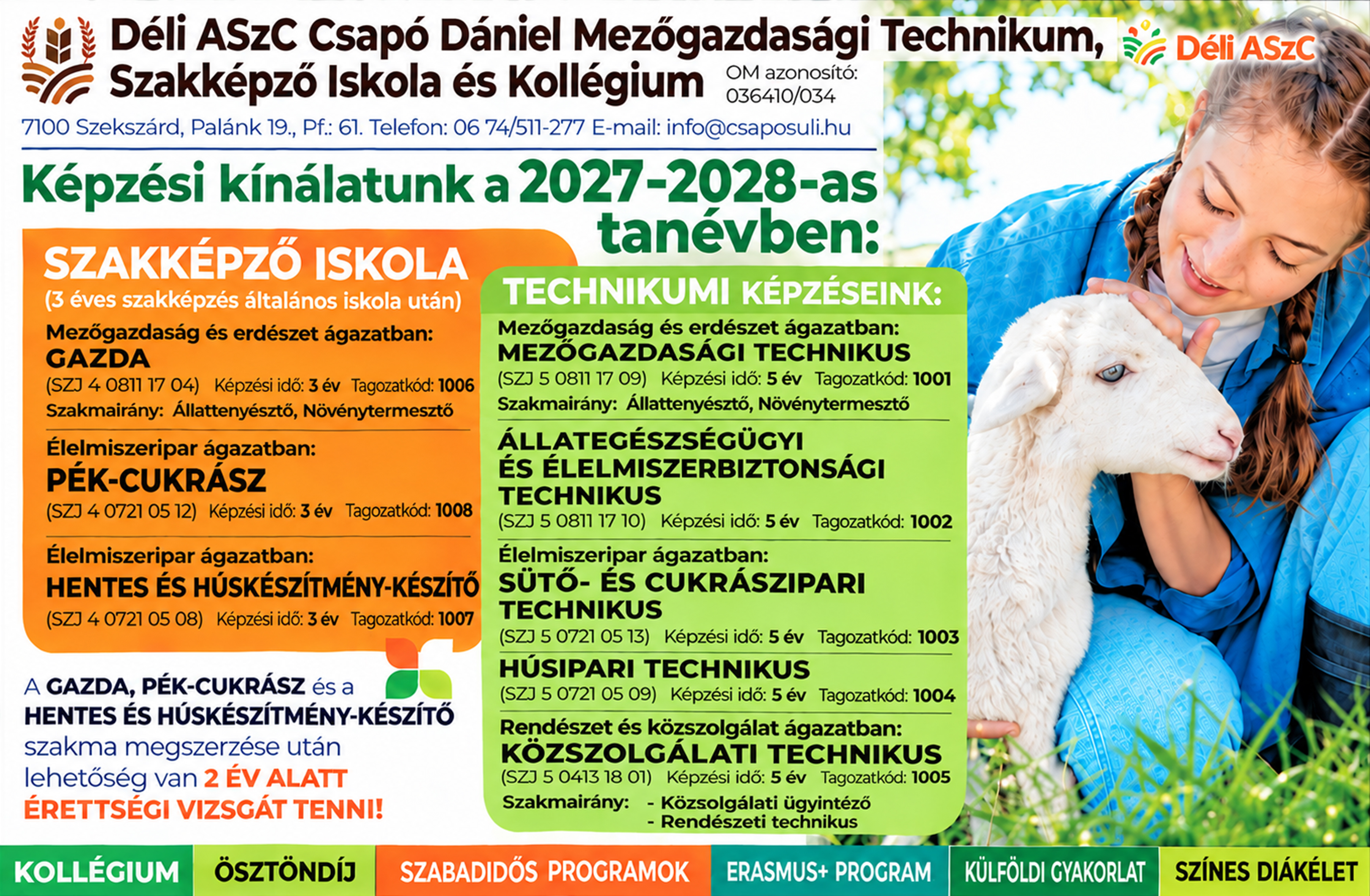 Csapó Dániel DASzK