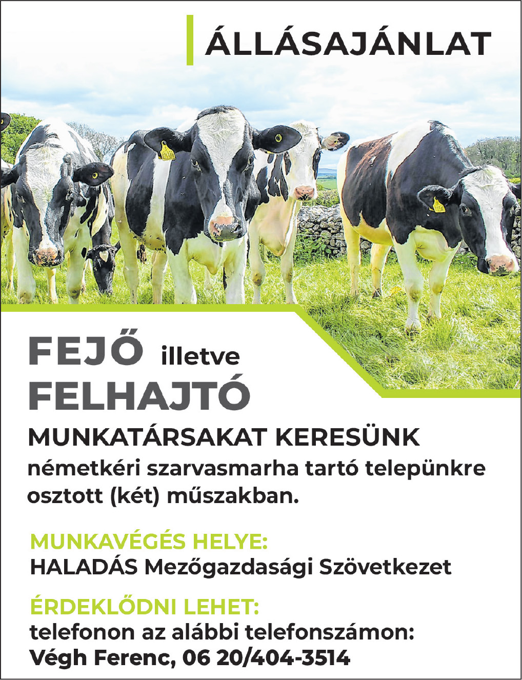 Haladás Mezőgazdasági Szövetkezet