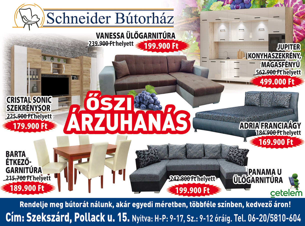 Schneider Bútorház