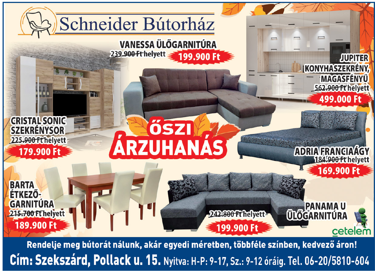 Schneider Bútorház