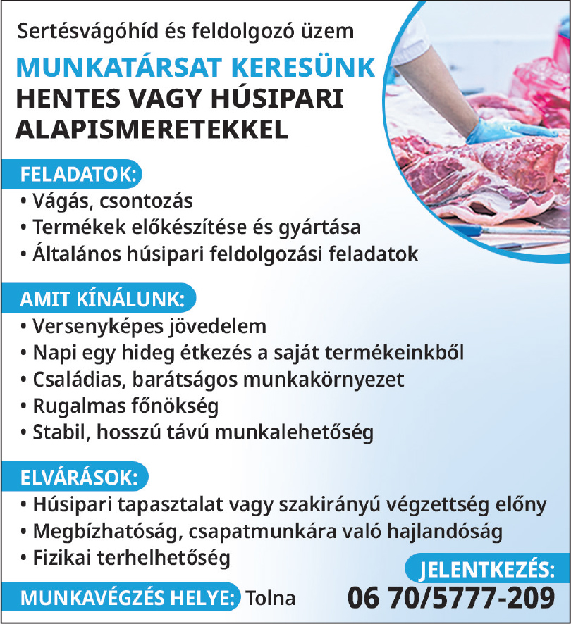 Hentes állás Tolna