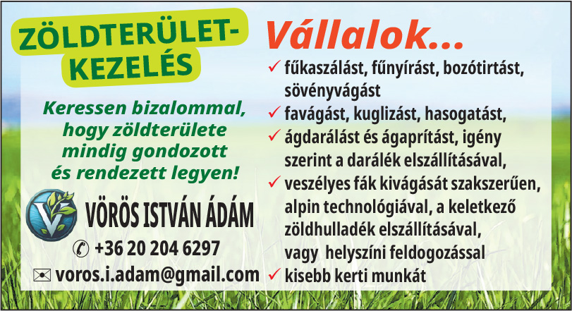 Vörös István Ádám