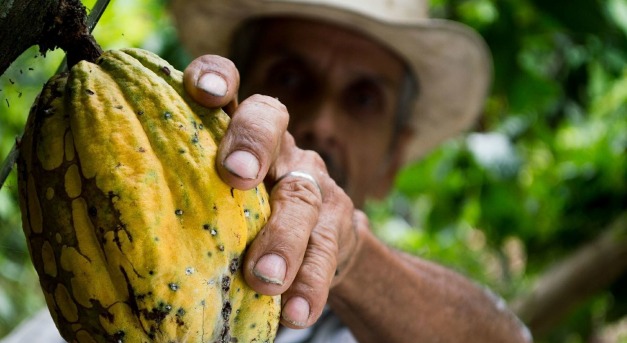 Sokan vásárolják: Fairtrade termék