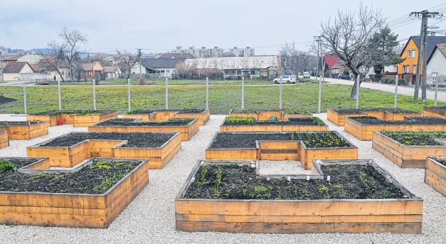 Újabb Közösségi kert Szekszárdon