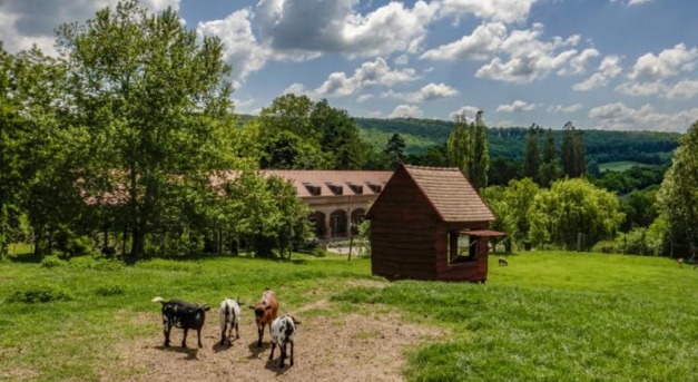 Egy nevezetes magyar szarvasfarm