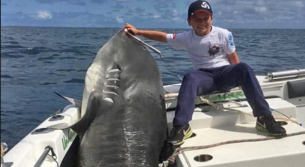 Háromszáz kilós cápa akadt a 8 éves kisfiú horgára