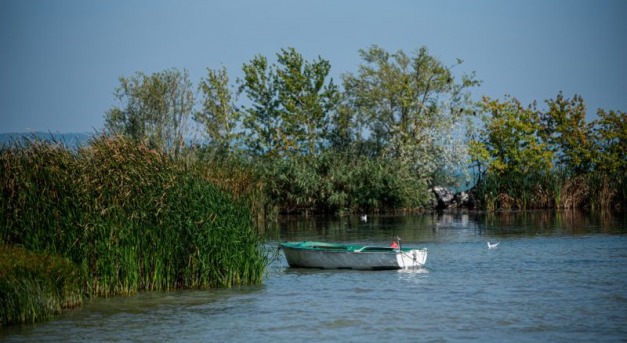 Ökopusztítás a Balaton-parton