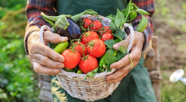 Spanyol zöldségtermelők vs. kereskedők