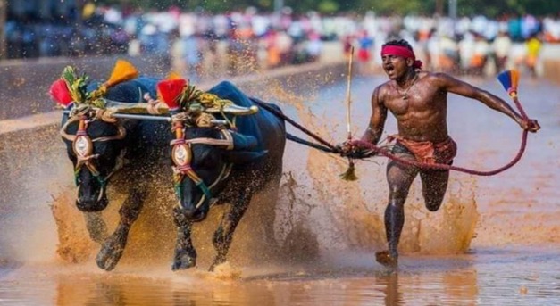 A kambala bajnoka és Bolt világrekordja