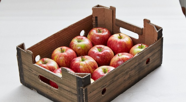 A lengyel almatermesztők inkább áfonyára váltanak