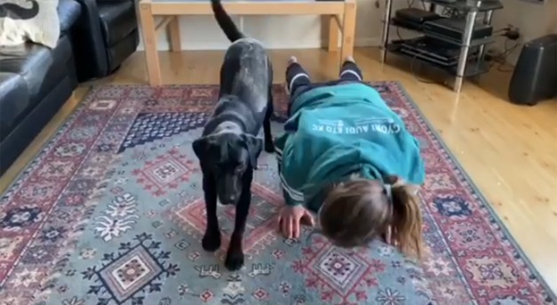 Így edz a győri kézis a kutyájával