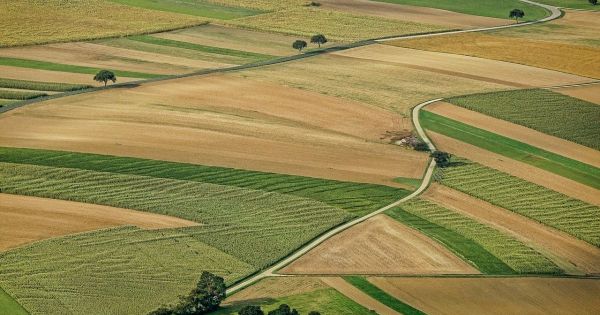 Az értékesítés csökkent, az ár növekedett