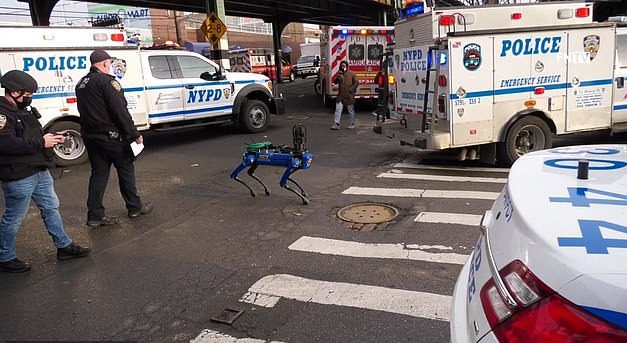 Robotkutya a New York-i rendőrségen