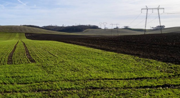 Nem szűnik meg a haszonbérlet az osztatlan közös tulajdon kimérésével