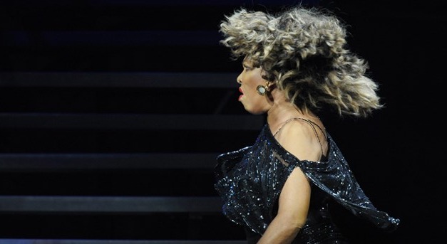 Tina Turner szakmai elismerése