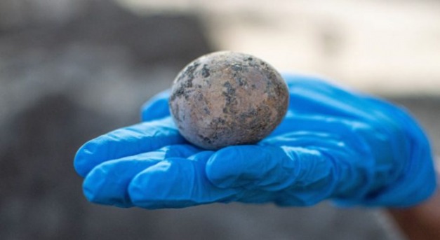 Ezeréves tyúktojást találtak Izraelben