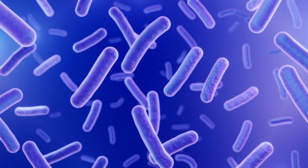 Legfőbb ellenségeink az antibiotikumoknak ellenálló baktériumok