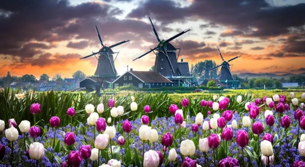Hétmillió tulipán parkja