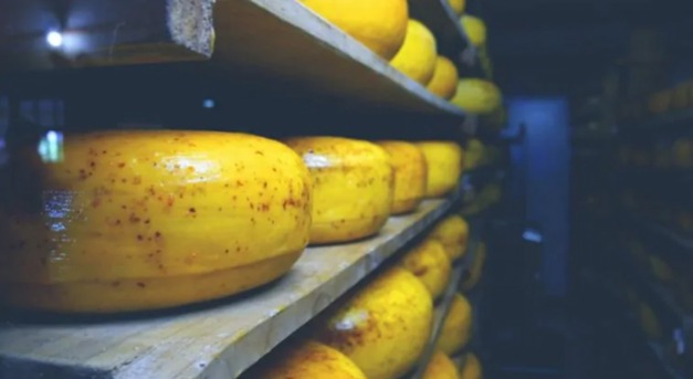 Milliókat érő sajtokat loptak Hollandiában