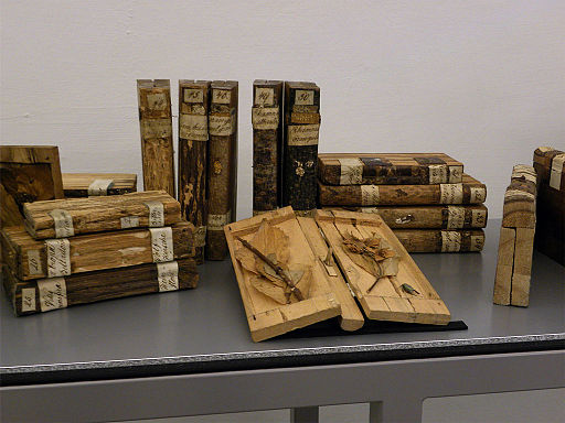Xylotéka: egy különleges könyvtár, ahol fakönyveket őriznek