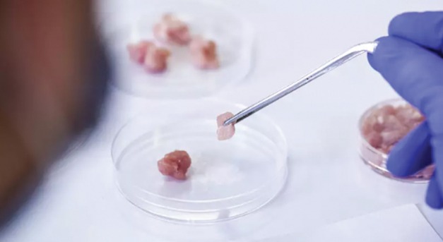Laboratóriumban készült hús – a jövő élelmiszere?