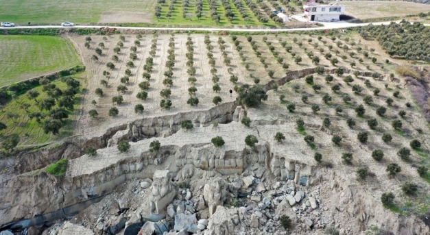 Kettéhasított egy olívaültetvényt a törökországi földrengés