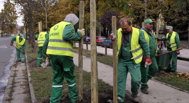 Magyar földbe magyar fákat, jönnek a nemzeti faiskolák?