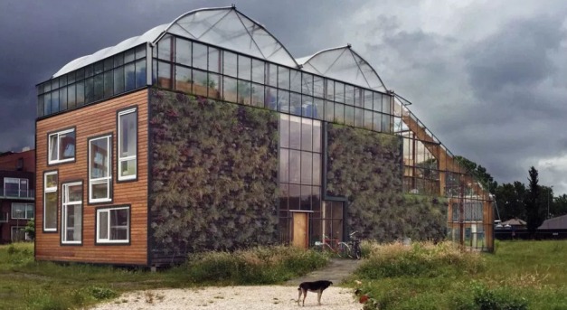 A kísérlet remekül halad: üvegházban él a holland család