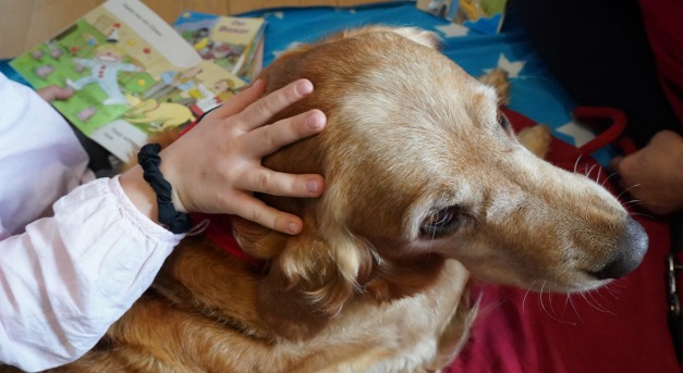 Az iskolás gyerekek jobban szeretnek kutyáknak felolvasni, mint nyugdíjasoknak