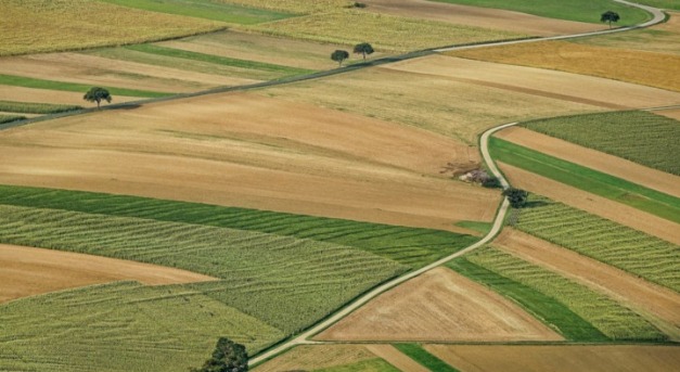 Földforgalmazás: kit illet az elővásárlási jog?