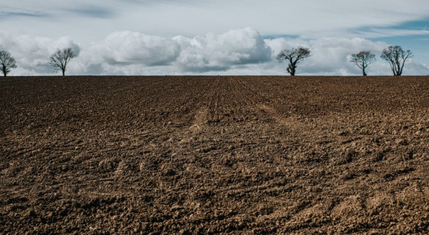 Százezer agrárgazdaság tűnt el tíz év alatt hazánkban