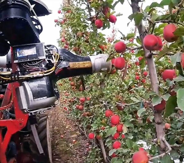 A jövő robottechnológiája az almaszüreten