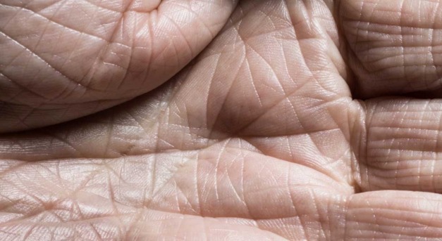 A bűnözőket már a bőrön hemzsegő mikrobák is lebuktathatják