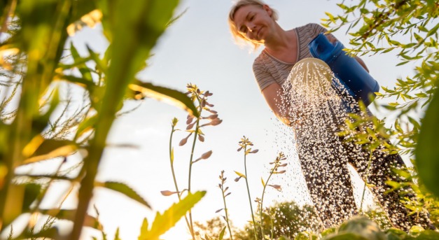 Fillérekből csodakert, Fonyódon