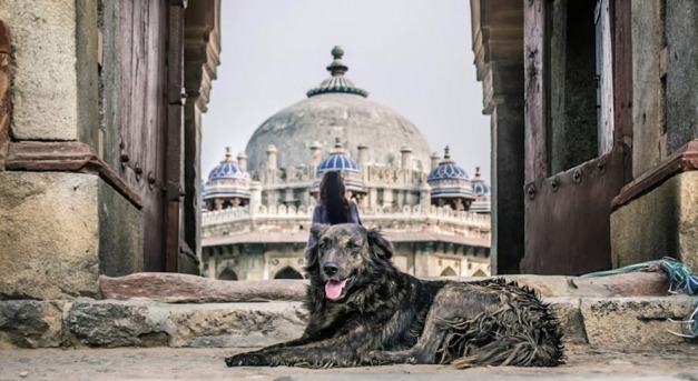 Utak, falvak, falkák