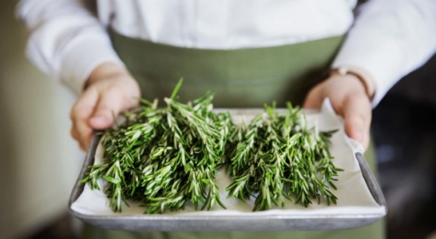 A rozmaring csodás hatásai: többféle formában is támogatja az egészséget