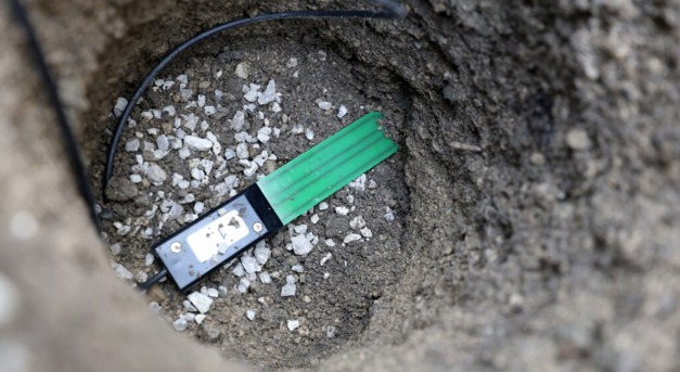 Jelzik a fák, ha locsolni kell őket