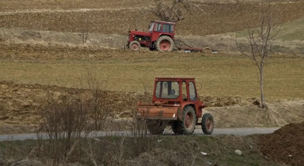 A gazdának fizetnie kell, ha utána takarítják az utat