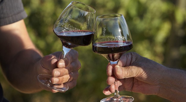 Mérsékelt borfogyasztás – kisebb kockázat