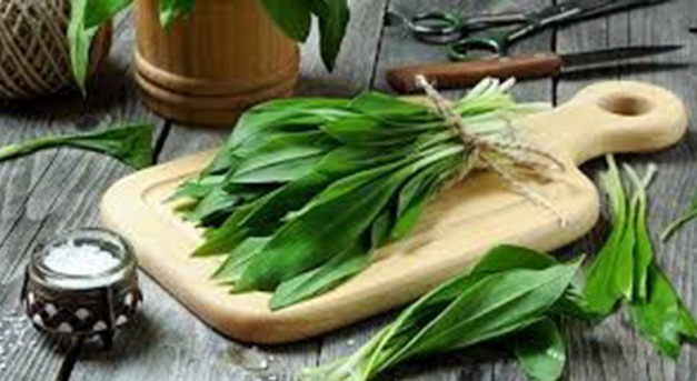 A tavasz első gyógynövényei