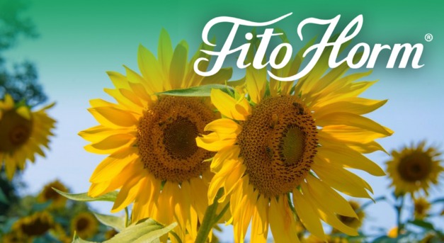 Növények oázisa egy csomagban